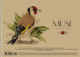 Zīmešanas albūms ar spirāli MUSE A4 30lp 150g/m2 "kraft" vāks "Drawing" (dizains 00310)