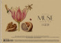 Zīmešanas albūms ar spirāli MUSE A4 30lp 150g/m2 "kraft" vāks "Drawing" (dizains 00319)