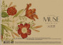 Zīmešanas albūms ar spirāli MUSE A4 30lp 150g/m2 "kraft" vāks "Drawing" (dizains 00320)