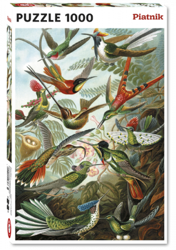 Puzzle PIATNIK 1000 daļas "Haeckel - Les Colibris"