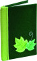 Filcs FOLIA 20*30cm 150g/m2 10lp. tumši zaļš N58