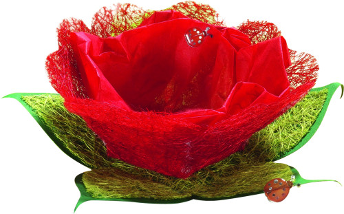 Sizāla loksnes FOLIA 5 pamatkrāsas 23*33cm