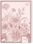 Klade INTERDRUK A5 70g/m2 96lp # ciets vāks, Trends Girls