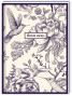 Klade INTERDRUK A5 70g/m2 96lp # ciets vāks, Trends Girls