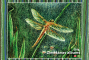 Zīmēšanas albums A3 120g/m2 20lp