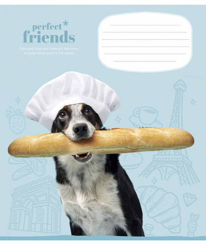 Burtnīca 18lp 170*203mm 60g/m2 # ''Perfect friends'' 3250