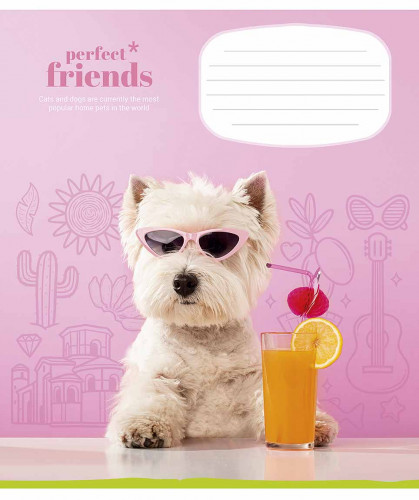 Burtnīca 18lp 170*203mm 60g/m2 # ''Perfect friends'' 3250
