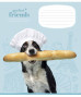 Burtnīca 18lp 170*203mm 60g/m2 = ''Perfect friends'' 3250