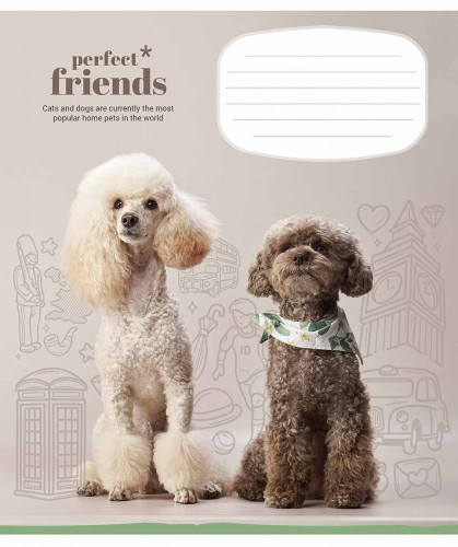 Burtnīca 18lp 170*203mm 60g/m2 = ''Perfect friends'' 3250