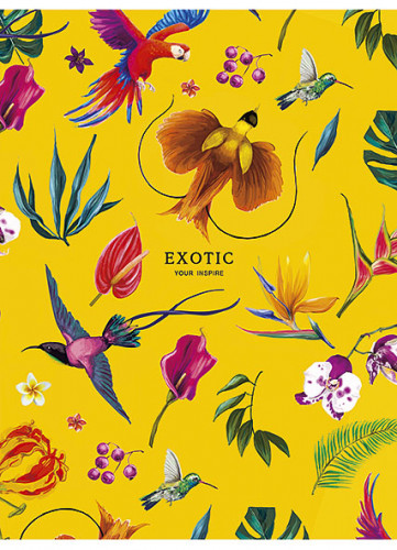 Klade mīksts vāks A5 40lp # ''Exotic'' 00539