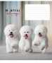 Burtnīca 18lp 170*203mm 60g/m2 # ''Always'' 3263