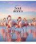 Klade 96lp 170*203mm 60g/m2 = glancēts lamināts ''Soul stories'' 3329