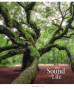 Klade 96lp 170*203mm 55g/m2 "Star" = glancēts lamināts ''The sound of life'' 3347