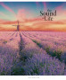 Klade 96lp 170*203mm 55g/m2 "Star" = glancēts lamināts ''The sound of life'' 3347
