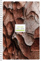 Koledžbloks A5 96lp = glancēts lamināts, 00990