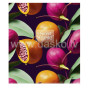 Klade 48lp 170*203mm 60g/m2 # glancēts lamināts ''The Sweet Stranger'' 3239