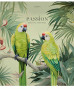 Klade 48lp 170*203mm 55g/m2 ''Star'' # glancēts lamināts 'Passion beautiful creatures' 3402