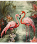 Klade 48lp 170*203mm 55g/m2 ''Star'' # glancēts lamināts 'Passion beautiful creatures' 3402