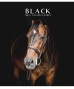 Klade 96lp 170*203mm 55g/m2 "Star" = glancēts lamināts "Black most colorful minds" 3388