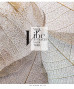 Klade 48lp 170*203mm ''Genius'' 70g/m2 = glancēts lamināts ''Your tribe'' 3164