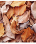 Klade 60lp 170*203mm 60g/m2 # glancēts lamināts ''Soul silence'' 3358