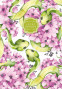 Klade FRESH elastīgs Soft-touch vāks 143*210mm 64lp # (dizains 19434,19439,19384,19382)