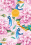 Klade FRESH elastīgs Soft-touch vāks 143*210mm 64lp # (dizains 19434,19439,19384,19382)