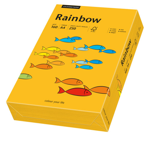 Papīrs RAINBOW 160g/m2 A4 250lp gaiši oranžs Nr.22
