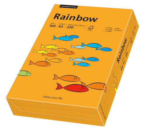 Papīrs RAINBOW 160g/m2 A4 250lp oranžs Nr.24