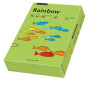 Papīrs RAINBOW 160g/m2 A4 250lp zaļš Nr.76