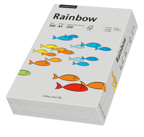 Papīrs RAINBOW 160g/m2 A4 250lp pelēks Nr.96