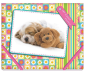 Mape ar gumiju PP B5 "My Funny Puppy" 31642-01