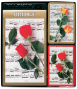 Kāršu komplekts 88.9*57.15mm 2*55gab.''Bridge & Roses'' + bloknots 2704
