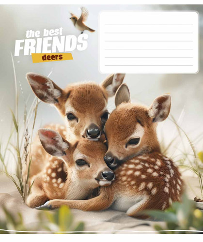 Burtnīca 12lp 170*203mm 60g/m2 # ''The best friends" 3434