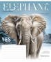 Burtnīca 18lp 170*203mm "Star" 55g/m2 = ''Wild life magazine'' 3428