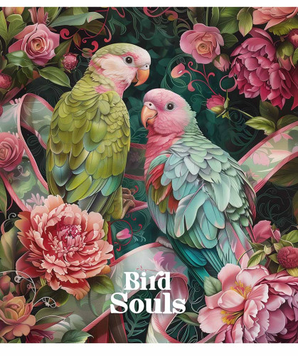 Klade 96lp 170*203mm 60g/m2 # glancēts lamināts ''Bird souls'' 3457