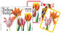 Kārtis PIATNIK 88.9*57.15mm 2*55gab. ''Tulips'' 2389 (s)