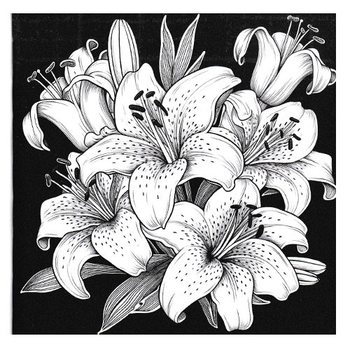 Krāsojamā grāmata FRESH 160*160mm, 24lp "Flora", melns fons (dizains 23382)