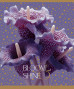 Klade 60lp 170*203mm 60g/m2 # Glitter ''Bloom shine'' 3690